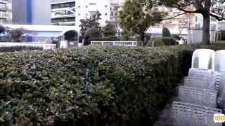 永久免费看一区二区看片🈲🈲在线观看无码亚洲猫